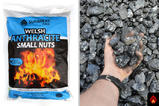 Welsh Anthracite Small Nuts