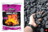 Welsh Dry Steam Small Nuts